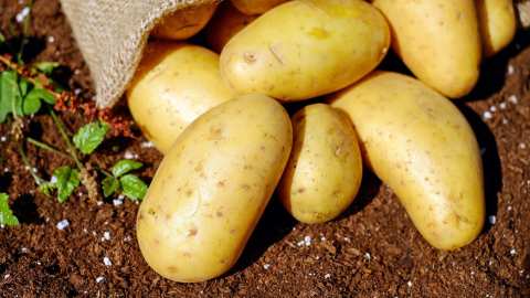 &Gamma;&epsilon;&omega;&rho;&gamma;&iota;&kappa;έ&sigmaf; &pi;&rho;&omicron;&epsilon;&iota;&delta;&omicron;&pi;&omicron;&iota;ή&sigma;&epsilon;&iota;&sigmaf; &gamma;&iota;&alpha; &tau;&eta;&nu; &Pi;&alpha;&tau;ά&tau;&alpha;