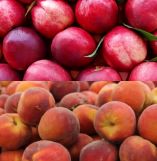 &Tau;&iota;&mu;έ&sigmaf; ά&nu;&epsilon;&upsilon; &pi;&rho;&omicron;&eta;&gamma;&omicron;ύ&mu;&epsilon;&nu;&omicron;&upsilon; &omicron;&iota; &phi;&epsilon;&tau;&iota;&nu;έ&sigmaf; &gamma;&iota;&alpha; &tau;&alpha; &epsilon;&pi;&iota;&tau;&rho;&alpha;&pi;έ&zeta;&iota;&alpha; &rho;&omicron;&delta;ά&kappa;&iota;&nu;&alpha; &kappa;&alpha;&iota; &nu;&epsilon;&kappa;&tau;&alpha;&rho;ί&nu;&iota;&alpha; - &Pi;&omicron;&iota;&alpha; &eta; &epsilon;&kappa;&tau;ί&mu;&eta;&sigma;&eta; &tau;&eta;&nu; &alpha;&nu;&alpha;&mu;&epsilon;&nu;ό&mu;&epsilon;&nu;&eta;&sigmaf; &epsilon;&lambda;&lambda;&eta;&nu;&iota;&kappa;ή&sigmaf; &pi;&alpha;&rho;&alpha;&gamma;&omega;&gamma;ή&sigmaf;