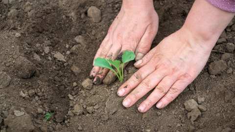 &Epsilon;&pi;&iota;&sigma;&tau;&omicron;&lambda;ή &Pi;&Omicron;&Gamma;&Epsilon;&Delta;&Upsilon;-&Epsilon;&Mu;&Delta;&Upsilon;&Delta;&Alpha;&Sigma; &pi;&rho;&omicron;&sigmaf; &alpha;&rho;&mu;ό&delta;&iota;&alpha; &upsilon;&pi;&omicron;&upsilon;&rho;&gamma;&epsilon;ί&alpha;: &Epsilon;&nu;&iota;&alpha;ί&omicron;&iota; &kappa;&alpha;&iota; &Alpha;&delta;&iota;ά&sigma;&pi;&alpha;&sigma;&tau;&omicron;&iota; &tau;ί&tau;&lambda;&omicron;&iota; &sigma;&pi;&omicron;&upsilon;&delta;ώ&nu; &mu;&epsilon;&tau;&alpha;&pi;&tau;&upsilon;&chi;&iota;&alpha;&kappa;&omicron;ύ &epsilon;&pi;&iota;&pi;έ&delta;&omicron;&upsilon; &sigma;&chi;&omicron;&lambda;ώ&nu; &Alpha;&lambda;&lambda;&omicron;&delta;&alpha;&pi;ή&sigmaf;