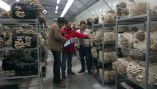 &Kappa;&alpha;&lambda;&lambda;&iota;έ&rho;&gamma;&epsilon;&iota;&alpha; &mu;&alpha;&nu;&iota;&tau;&alpha;&rho;&iota;ώ&nu; &sigma;&tau;&eta; &chi;ώ&rho;&alpha; &mu;&alpha;&sigmaf; - &Alpha;&gamma;&omicron;&rho;ά &pi;&omicron;&upsilon; &pi;&alpha;&gamma;&kappa;&omicron;&sigma;&mu;ί&omega;&sigmaf; &beta;&rho;ί&sigma;&kappa;&epsilon;&tau;&alpha;&iota; &sigma;&epsilon; &alpha;&nu;&omicron;&delta;&iota;&kappa;ή &tau;&rho;&omicron;&chi;&iota;ά