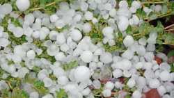 &Pi;ί&nu;&alpha;&kappa;&alpha;&sigmaf; &epsilon;&pi;&alpha;&nu;&epsilon;&kappa;&tau;ί&mu;&eta;&sigma;&eta;&sigmaf; &zeta;&eta;&mu;&iota;ώ&nu; &sigma;&epsilon; &kappa;&alpha;&lambda;&lambda;&iota;έ&rho;&gamma;&epsilon;&iota;&epsilon;&sigmaf; &alpha;&pi;ό &chi;&alpha;&lambda;&alpha;&zeta;ό&pi;&tau;&omega;&sigma;&eta; 26/04/2024 &sigma;&tau;&eta; &Delta;/&Tau;.&Kappa;. &Beta;έ&rho;&omicron;&iota;&alpha;&sigmaf;