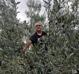 &Theta;&epsilon;ό&delta;&omega;&rho;&omicron;&sigmaf; &Theta;&epsilon;&omicron;&delta;&omega;&rho;ί&delta;&eta;&sigmaf; : " &Alpha;&sigma;&chi;&omicron;&lambda;&eta;&theta;&epsilon;ί&tau;&epsilon; &mu;&epsilon; &tau;&eta; &gamma;&eta;, &pi;&omicron;&tau;έ &delta;&epsilon;&nu; &theta;&alpha; &sigma;&alpha;&sigmaf; &pi;&rho;&omicron;&delta;ώ&sigma;&epsilon;&iota;...&eta; &chi;&alpha;&rho;ά &tau;&eta;&sigmaf; &pi;&alpha;&rho;&alpha;&gamma;&omega;&gamma;ή&sigmaf; &theta;&alpha; &sigma;&alpha;&sigmaf; &alpha;&nu;&tau;&alpha;&mu;&epsilon;ί&psi;&epsilon;&iota;..." (&Phi;&omega;&tau;&omicron;&gamma;&rho;&alpha;&phi;ί&kappa;ό &upsilon;&lambda;&iota;&kappa;ό)