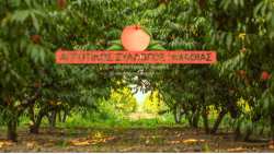 &Kappa;ά&lambda;&epsilon;&sigma;&mu;&alpha; &Alpha;&gamma;&rho;&omicron;&tau;&iota;&kappa;&omicron;ύ &Sigma;&upsilon;&lambda;&lambda;ό&gamma;&omicron;&upsilon; &Eta;&mu;&alpha;&theta;ί&alpha;&sigmaf; &sigma;&epsilon; &Gamma;&epsilon;&nu;&iota;&kappa;ή &Sigma;&upsilon;&nu;έ&lambda;&epsilon;&upsilon;&sigma;&eta; &sigma;&tau;&omicron; &Mu;&alpha;&kappa;&rho;&omicron;&chi;ώ&rho;&iota; &Eta;&mu;&alpha;&theta;ί&alpha;&sigmaf;