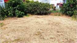 &Kappa;&alpha;&theta;&alpha;&rho;&iota;&sigma;&mu;ό&sigmaf; &omicron;&iota;&kappa;&omicron;&pi;έ&delta;&omega;&nu; &kappa;&alpha;&iota; &alpha;&kappa;ά&lambda;&upsilon;&pi;&tau;&omega;&nu; &chi;ώ&rho;&omega;&nu; &epsilon;&nu; ό&psi;&epsilon;&iota; &tau;&eta;&sigmaf; &alpha;&nu;&tau;&iota;&pi;&upsilon;&rho;&iota;&kappa;ή&sigmaf; &pi;&epsilon;&rho;&iota;ό&delta;&omicron;&upsilon; 2024