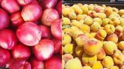 &Pi;ό&tau;&epsilon; &alpha;&nu;&alpha;&mu;έ&nu;&epsilon;&tau;&alpha;&iota; &nu;&alpha; &alpha;&nu;&alpha;&kappa;&omicron;&iota;&nu;&omega;&theta;&omicron;ύ&nu; &omicron;&iota; &epsilon;&nu;&iota;&sigma;&chi;ύ&sigma;&epsilon;&iota;&sigmaf; (De minimis) &sigma;&tau;&omicron;&upsilon;&sigmaf; &rho;&omicron;&delta;&alpha;&kappa;&iota;&nu;&omicron;&pi;&alpha;&rho;&alpha;&gamma;&omega;&gamma;&omicron;ύ&sigmaf;