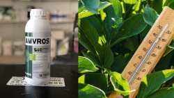 &Beta;&iota;&omicron;&delta;&iota;&epsilon;&gamma;έ&rho;&tau;&eta;&sigmaf; &gamma;&iota;&alpha; &tau;&eta;&nu; &alpha;&pi;&omicron;&tau;&rho;&omicron;&pi;ή &mu;&upsilon;&kappa;&eta;&tau;&omicron;&lambda;&omicron;&gamma;&iota;&kappa;ώ&nu; &pi;&rho;&omicron;&sigma;&beta;&omicron;&lambda;ώ&nu; &kappa;&alpha;&iota; &epsilon;&nu;ί&sigma;&chi;&upsilon;&sigma;&eta;&sigmaf; &tau;&omega;&nu; &phi;&upsilon;&tau;ώ&nu; &sigma;&epsilon; &delta;ύ&sigma;&kappa;&omicron;&lambda;&epsilon;&sigmaf; &kappa;&alpha;&tau;&alpha;&sigma;&tau;ά&sigma;&epsilon;&iota;&sigmaf;