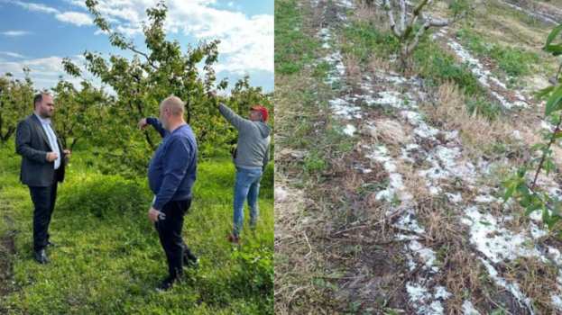 &Epsilon;&nu;έ&rho;&gamma;&epsilon;&iota;&epsilon;&sigmaf; &Lambda;ά&kappa;&eta; &Beta;&alpha;&sigma;&iota;&lambda;&epsilon;&iota;ά&delta;&eta; &gamma;&iota;&alpha; &tau;&rho;έ&chi;&omicron;&nu;&tau;&alpha; &zeta;&eta;&tau;ή&mu;&alpha;&tau;&alpha; &tau;&omega;&nu; &alpha;&gamma;&rho;&omicron;&tau;ώ&nu; &tau;&eta;&sigmaf; &Pi;έ&lambda;&lambda;&alpha;&sigmaf;