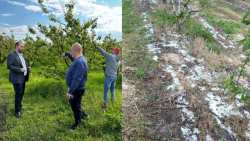 &Epsilon;&nu;έ&rho;&gamma;&epsilon;&iota;&epsilon;&sigmaf; &Lambda;ά&kappa;&eta; &Beta;&alpha;&sigma;&iota;&lambda;&epsilon;&iota;ά&delta;&eta; &gamma;&iota;&alpha; &tau;&rho;έ&chi;&omicron;&nu;&tau;&alpha; &zeta;&eta;&tau;ή&mu;&alpha;&tau;&alpha; &tau;&omega;&nu; &alpha;&gamma;&rho;&omicron;&tau;ώ&nu; &tau;&eta;&sigmaf; &Pi;έ&lambda;&lambda;&alpha;&sigmaf;