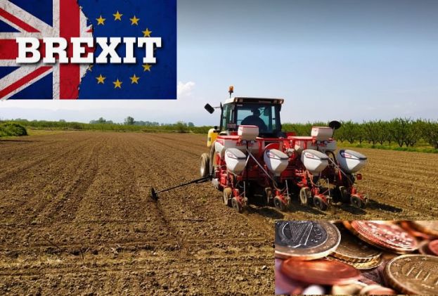 &Eta; &Epsilon;&Epsilon; &theta;&alpha; &delta;&iota;&alpha;&theta;έ&sigma;&epsilon;&iota; 5 &delta;&iota;&sigma;. &Epsilon;&upsilon;&rho;ώ &gamma;&iota;&alpha; &chi;ώ&rho;&epsilon;&sigmaf; &kappa;&alpha;&iota; &epsilon;&tau;&alpha;&iota;&rho;&epsilon;ί&epsilon;&sigmaf; &pi;&omicron;&upsilon; &pi;&lambda;ή&tau;&tau;&omicron;&nu;&tau;&alpha;&iota; &alpha;&pi;ό &tau;&omicron; Brexit - Έ&omega;&sigmaf; &tau;&omicron; &Delta;&epsilon;&kappa;έ&mu;&beta;&rho;&iota;&omicron; &omicron;&iota; &pi;&rho;ώ&tau;&epsilon;&sigmaf; &epsilon;&nu;&iota;&sigma;&chi;ύ&sigma;&epsilon;&iota;&sigmaf;