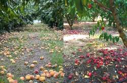 &Mu;&pi;&alpha;&rho;&tau;&zeta;ώ&kappa;&alpha;&sigmaf;: &Pi;&rho;&omicron;&sigma;&epsilon;&chi;ώ&sigmaf; &sigma;ύ&sigma;&kappa;&epsilon;&psi;&eta; &sigma;&tau;&omicron; &Upsilon;&Pi;&Alpha;&Alpha;&Tau; &gamma;&iota;&alpha; &tau;&iota;&sigmaf; &alpha;&pi;&omicron;&zeta;&eta;&mu;&iota;ώ&sigma;&epsilon;&iota;&sigmaf; &alpha;&pi;ό &tau;&iota;&sigmaf; &beta;&rho;&omicron;&chi;&omicron;&pi;&tau;ώ&sigma;&epsilon;&iota;&sigmaf;