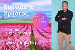 &Upsilon;&pi;&omicron;&psi;ή&phi;&iota;&omicron;&sigmaf; &Delta;&eta;&mu;&omicron;&tau;&iota;&kappa;ό&sigmaf; &Sigma;ύ&mu;&beta;&omicron;&upsilon;&lambda;&omicron;&sigmaf; &Delta;.&Epsilon;. &Beta;έ&rho;&omicron;&iota;&alpha;&sigmaf; &omicron; &Beta;&omicron;&rho;&gamma;&iota;ά&delta;&eta;&sigmaf; &Chi;&rho;ή&sigma;&tau;&omicron;&sigmaf;