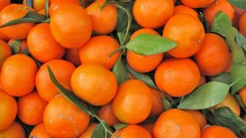 &Iota;&tau;&alpha;&lambda;&iota;&kappa;έ&sigmaf; &kappa;&lambda;&eta;&mu;&epsilon;&nu;&tau;ί&nu;&epsilon;&sigmaf;: &Delta;&epsilon;&nu; &iota;&kappa;&alpha;&nu;&omicron;&pi;&omicron;&iota;&omicron;ύ&nu; &omicron;&iota; &tau;&iota;&mu;έ&sigmaf; - &Omicron;&iota; &epsilon;&xi;&alpha;&gamma;&omega;&gamma;έ&sigmaf; &sigma;ώ&zeta;&omicron;&upsilon;&nu; &tau;&eta;&nu; &sigma;&epsilon;&zeta;ό&nu;