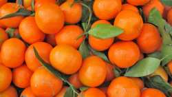 &Iota;&tau;&alpha;&lambda;&iota;&kappa;έ&sigmaf; &kappa;&lambda;&eta;&mu;&epsilon;&nu;&tau;ί&nu;&epsilon;&sigmaf;: &Delta;&epsilon;&nu; &iota;&kappa;&alpha;&nu;&omicron;&pi;&omicron;&iota;&omicron;ύ&nu; &omicron;&iota; &tau;&iota;&mu;έ&sigmaf; - &Omicron;&iota; &epsilon;&xi;&alpha;&gamma;&omega;&gamma;έ&sigmaf; &sigma;ώ&zeta;&omicron;&upsilon;&nu; &tau;&eta;&nu; &sigma;&epsilon;&zeta;ό&nu;