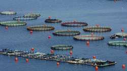 &Eta;&gamma;έ&tau;&eta;&sigmaf; &sigma;&tau;&eta;&nu; &Epsilon;&Epsilon; &eta; &Epsilon;&lambda;&lambda;ά&delta;&alpha; &sigma;&tau;&iota;&sigmaf; &upsilon;&delta;&alpha;&tau;&omicron;&kappa;&alpha;&lambda;&lambda;&iota;έ&rho;&gamma;&epsilon;&iota;&epsilon;&sigmaf;