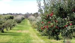 &Alpha;&nu;&alpha;&delta;&iota;ά&rho;&theta;&rho;&omega;&sigma;&eta; &Kappa;&alpha;&lambda;&lambda;&iota;&epsilon;&rho;&gamma;&epsilon;&iota;ώ&nu;: &Nu;έ&alpha; &mu;&epsilon;&tau;ά&theta;&epsilon;&sigma;&eta; &eta;&mu;&epsilon;&rho;&omicron;&mu;&eta;&nu;ί&alpha;&sigmaf; έ&nu;&alpha;&rho;&xi;&eta;&sigmaf; &upsilon;&pi;&omicron;&beta;&omicron;&lambda;ή&sigmaf; &alpha;&iota;&tau;ή&sigma;&epsilon;&omega;&nu; &epsilon;&nu;ί&sigma;&chi;&upsilon;&sigma;&eta;&sigmaf;