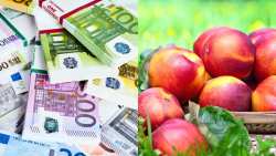 &Pi;ή&rho;&alpha;&nu; &Phi;&Epsilon;&Kappa; &rho;&omicron;&delta;ά&kappa;&iota;&nu;&alpha;, &nu;&epsilon;&kappa;&tau;&alpha;&rho;ί&nu;&iota;&alpha; , &beta;&epsilon;&rho;ί&kappa;&omicron;&kappa;&alpha; - &Pi;&omicron;&iota;&epsilon;&sigmaf; &omicron;&iota; &pi;&omicron;&iota;&kappa;&iota;&lambda;ί&epsilon;&sigmaf; &pi;&omicron;&upsilon; &alpha;&pi;&omicron;&zeta;&eta;&mu;&iota;ώ&nu;&omicron;&nu;&tau;&alpha;&iota; &kappa;&alpha;&iota; &tau;&alpha; &pi;&omicron;&sigma;ά