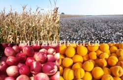 Ά&mu;&epsilon;&sigma;&epsilon;&sigmaf; &epsilon;&nu;&iota;&sigma;&chi;ύ&sigma;&epsilon;&iota;&sigmaf;: &Pi;ώ&sigmaf; &theta;&alpha; &kappa;&alpha;&tau;&alpha;&nu;&epsilon;&mu;&eta;&theta;&omicron;ύ&nu; &mu;&epsilon; &tau;&eta; &Nu;έ&alpha; &Kappa;&Alpha;&Pi; 2023-2027