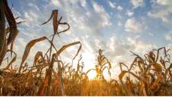 &Pi;&epsilon;&rho;&iota;&beta;&alpha;&lambda;&lambda;&omicron;&nu;&tau;&iota;&kappa;ό &Pi;&alpha;&rho;&alpha;&tau;&eta;&rho;&eta;&tau;ή&rho;&iota;&omicron; &alpha;&pi;ό &tau;&eta;&nu; &Pi;&Kappa;&Mu; &gamma;&iota;&alpha; &tau;&eta;&nu; 24&omega;&rho;&eta; &pi;&alpha;&rho;&alpha;&kappa;&omicron;&lambda;&omicron;ύ&theta;&eta;&sigma;&eta; &tau;&omega;&nu; &epsilon;&pi;&iota;&pi;&tau;ώ&sigma;&epsilon;&omega;&nu; &tau;&eta;&sigmaf; &kappa;&lambda;&iota;&mu;&alpha;&tau;&iota;&kappa;ή&sigmaf; &alpha;&lambda;&lambda;&alpha;&gamma;ή&sigmaf;