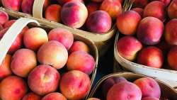 Barcode &alpha;&pi;ό &tau;&omicron; &chi;&omega;&rho;ά&phi;&iota; &sigma;&tau;&omicron; &rho;ά&phi;&iota;