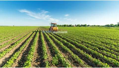 &Pi;&Alpha;&Sigma;&Omicron;&Kappa;-&Kappa;ί&nu;&eta;&mu;&alpha; &Alpha;&lambda;&lambda;&alpha;&gamma;ή&sigmaf; : Ά&delta;&iota;&kappa;&eta; &kappa;&alpha;&tau;&alpha;&nu;&omicron;&mu;ή &tau;&omicron;&upsilon; &alpha;&pi;&omicron;&theta;&epsilon;&mu;&alpha;&tau;&iota;&kappa;&omicron;ύ &kappa;&rho;ί&sigma;&eta;&sigmaf; &chi;&omega;&rho;ί&sigmaf; &delta;&iota;&alpha;&beta;&omicron;ύ&lambda;&epsilon;&upsilon;&sigma;&eta;