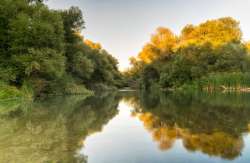 &Epsilon;&rho;&gamma;&alpha;&sigma;ί&epsilon;&sigmaf; &sigma;&upsilon;&nu;&tau;ή&rho;&eta;&sigma;&eta;&sigmaf;-&alpha;&pi;&omicron;&kappa;&alpha;&tau;ά&sigma;&tau;&alpha;&sigma;&eta;&sigmaf; &alpha;&nu;&tau;&iota;&pi;&lambda;&eta;&mu;&mu;&upsilon;&rho;&iota;&kappa;ώ&nu; έ&rho;&gamma;&omega;&nu; &pi;&omicron;&tau;&alpha;&mu;&omicron;ύ &Alpha;&lambda;&phi;&epsilon;&iota;&omicron;ύ