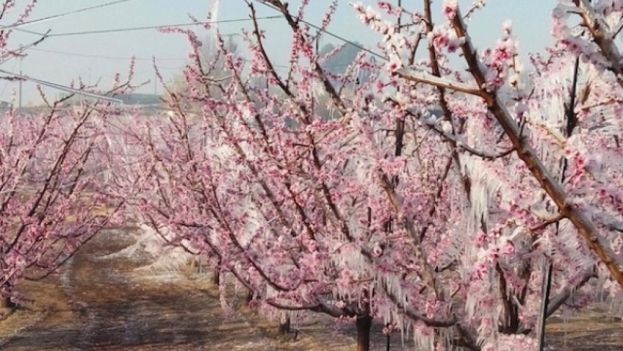 &Pi;&alpha;&gamma;&epsilon;&tau;ό&sigmaf;: &Epsilon;&sigma;&tau;ά&lambda;&eta;&sigma;&alpha;&nu; &tau;&alpha; &pi;&omicron;&rho;ί&sigma;&mu;&alpha;&tau;&alpha; &epsilon;&kappa;&tau;ί&mu;&eta;&sigma;&eta;&sigmaf; &zeta;&eta;&mu;&iota;ώ&nu; &tau;&eta;&sigmaf; &Tau;&omicron;&pi;&iota;&kappa;ή&sigmaf; &Kappa;&omicron;&iota;&nu;ό&tau;&eta;&tau;&alpha;&sigmaf; &Mu;&alpha;&kappa;&rho;&omicron;&chi;&omega;&rho;ί&omicron;&upsilon; &Eta;&mu;&alpha;&theta;ί&alpha;&sigmaf;
