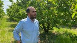 &Lambda;ά&kappa;&eta;&sigmaf; &Beta;&alpha;&sigma;&iota;&lambda;&epsilon;&iota;ά&delta;&eta;&sigmaf;: &Alpha;&pi;&omicron;&zeta;&eta;&mu;&iota;ώ&sigma;&epsilon;&iota;&sigmaf; de minimis &sigma;&epsilon; &rho;&omicron;&delta;ά&kappa;&iota;&nu;&alpha; (&epsilon;&pi;&iota;&tau;&rho;&alpha;&pi;έ&zeta;&iota;&alpha;-&sigma;&upsilon;&mu;&pi;ύ&rho;&eta;&nu;&alpha;),  &nu;&epsilon;&kappa;&tau;&alpha;&rho;ί&nu;&iota;&alpha; &kappa;&alpha;&iota; &beta;&epsilon;&rho;ί&kappa;&omicron;&kappa;&alpha;