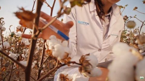 &Tau;&iota; &epsilon;ί&nu;&alpha;&iota; &tau;&omicron; &sigma;ή&mu;&alpha; "EU cotton" &kappa;&alpha;&iota; &tau;&iota; &sigma;&eta;&mu;&alpha;ί&nu;&epsilon;&iota; &gamma;&iota;&alpha; &tau;&omicron; &epsilon;&lambda;&lambda;&eta;&nu;&iota;&kappa;ό &beta;&alpha;&mu;&beta;ά&kappa;&iota; (&Beta;ί&nu;&tau;&epsilon;&omicron;)