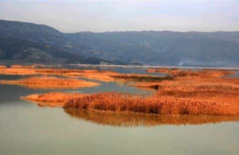 &Delta;&iota;&omicron;&rho;&gamma;ά&nu;&omega;&sigma;&eta; &tau;&eta;&sigmaf; 8&eta;&sigmaf; &Sigma;&upsilon;&nu;ό&delta;&omicron;&upsilon; &tau;&omicron;&upsilon; &Beta;&rho;&alpha;&beta;&epsilon;ί&omicron;&upsilon; &Tau;&omicron;&pi;ί&omicron;&upsilon; &tau;&omicron;&upsilon; &Sigma;&upsilon;&mu;&beta;&omicron;&upsilon;&lambda;ί&omicron;&upsilon; &tau;&eta;&sigmaf; &Epsilon;&upsilon;&rho;ώ&pi;&eta;&sigmaf; (2022-2023)