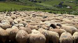 &Pi;&Omicron;&Gamma;&Epsilon;&Delta;&Upsilon;:  &laquo;&Pi;ό&lambda;&epsilon;&mu;&omicron;&sigmaf; &chi;&omega;&rho;ί&sigmaf; &sigma;&tau;&rho;&alpha;&tau;&iota;ώ&tau;&epsilon;&sigmaf; &kappa;&alpha;&iota; ό&pi;&lambda;&alpha;&hellip;. &raquo;