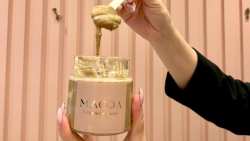 &Omicron;&iota; &delta;&iota;&alpha;&phi;&omicron;&rho;&epsilon;&tau;&iota;&kappa;έ&sigmaf; &laquo;version&raquo; &tau;&omicron;&upsilon; &mu;&epsilon;&lambda;&omicron;&mu;&alpha;&kappa;ά&rho;&omicron;&nu;&omicron;&upsilon;: &alpha;&pi;ό &tau;&omicron; &pi;&alpha;&rho;&alpha;&delta;&omicron;&sigma;&iota;&alpha;&kappa;ό, &sigma;&tau;&omicron; &kappa;έ&iota;&kappa;, &tau;&omicron; &kappa;&rho;&omicron;&upsilon;&alpha;&sigma;ά&nu; &kappa;&alpha;&iota; &tau;&omicron; &pi;&alpha;&gamma;&omega;&tau;ό