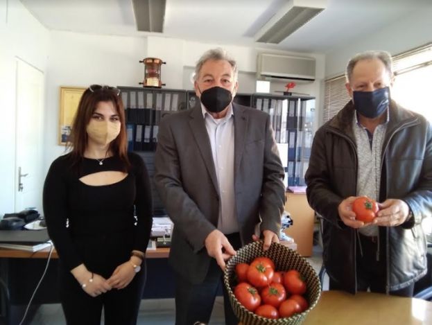 &Kappa;&alpha;&tau;&alpha;&kappa;ό&kappa;&kappa;&iota;&nu;&epsilon;&sigmaf; &tau;&omicron;&mu;ά&tau;&epsilon;&sigmaf; &alpha;&pi;ό &tau;&omicron; 100% &pi;&rho;ά&sigma;&iota;&nu;&omicron; &theta;&epsilon;&rho;&mu;&omicron;&kappa;ή&pi;&iota;&omicron; &tau;&eta;&sigmaf; &Omicron;&Epsilon;&Tau;