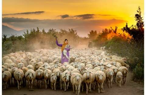 &Epsilon;&pi;&iota;&sigma;&tau;&omicron;&lambda;ή &Alpha;&Kappa;&Kappa;&Epsilon;&Lambda; &sigma;&epsilon; &Upsilon;&Pi;&Alpha;&Alpha;&Tau; &gamma;&iota;&alpha; &alpha;&pi;ό&delta;&omicron;&sigma;&eta; &sigma;&epsilon; &pi;&rho;&alpha;&gamma;&mu;&alpha;&tau;&iota;&kappa;&omicron;ύ&sigmaf; &kappa;&tau;&eta;&nu;&omicron;&tau;&rho;ό&phi;&omicron;&upsilon;&sigmaf; &tau;&omega;&nu; &pi;&omicron;&sigma;ώ&nu; &pi;&omicron;&upsilon; &theta;&alpha; &epsilon;&pi;&iota;&sigma;&tau;&rho;&alpha;&phi;&omicron;ύ&nu; &alpha;&pi;ό &laquo;&mu;&alpha;ϊ&mu;&omicron;ύ&raquo; &kappa;&tau;&eta;&nu;&omicron;&tau;&rho;ό&phi;&omicron;&upsilon;&sigmaf;