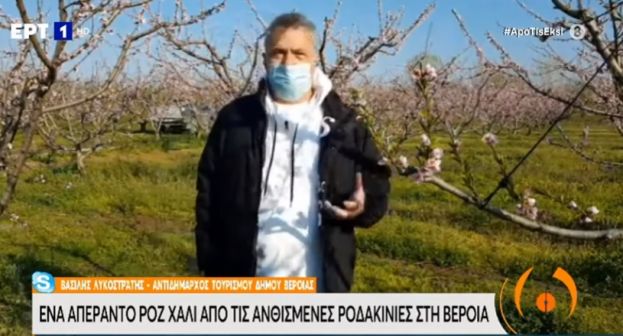 &Alpha;&pi;ά&nu;&tau;&eta;&sigma;&eta; &tau;&omicron;&upsilon; &Alpha;&nu;&tau;&iota;&delta;&eta;&mu;ά&rho;&chi;&omicron;&upsilon; &Tau;&omicron;&upsilon;&rho;&iota;&sigma;&mu;&omicron;ύ &Delta;ή&mu;&omicron;&upsilon; &Beta;έ&rho;&omicron;&iota;&alpha;&sigmaf; &sigma;&tau;&alpha; &delta;&eta;&mu;&omicron;&sigma;&iota;&epsilon;ύ&mu;&alpha;&tau;&alpha; &sigma;&chi;&epsilon;&tau;&iota;&kappa;ά &mu;&epsilon; &tau;&iota;&sigmaf; &zeta;&eta;&mu;&iota;έ&sigmaf; &alpha;&pi;ό &tau;&eta;&nu; &kappa;&alpha;&kappa;&omicron;&kappa;&alpha;&iota;&rho;ί&alpha; &kappa;&alpha;&iota; &tau;&eta; &sigma;&upsilon;&nu;έ&nu;&tau;&epsilon;&upsilon;&xi;ή &tau;&omicron;&upsilon; &sigma;&tau;&eta;&nu; &pi;&rho;&omega;&iota;&nu;ή &epsilon;&kappa;&pi;&omicron;&mu;&pi;ή &tau;&eta;&sigmaf; &Epsilon;&Rho;&Tau;1