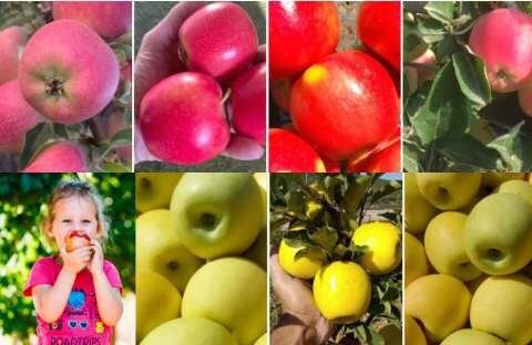 7 &omicron;&lambda;&omicron;&kappa;&alpha;ί&nu;&omicron;&upsilon;&rho;&gamma;&iota;&epsilon;&sigmaf; &mu;&omicron;&nu;&alpha;&delta;&iota;&kappa;έ&sigmaf; &pi;&omicron;&iota;&kappa;&iota;&lambda;ί&epsilon;&sigmaf; &mu;ή&lambda;&omega;&nu; &mu;&epsilon; &iota;&delta;&iota;&alpha;ί&tau;&epsilon;&rho;&omicron; &omicron;&iota;&kappa;&omicron;&nu;&omicron;&mu;&iota;&kappa;ό &epsilon;&nu;&delta;&iota;&alpha;&phi;έ&rho;&omicron;&nu; &gamma;&iota;&alpha; &tau;&omicron;&upsilon;&sigmaf; &pi;&alpha;&rho;&alpha;&gamma;&omega;&gamma;&omicron;ύ&sigmaf;