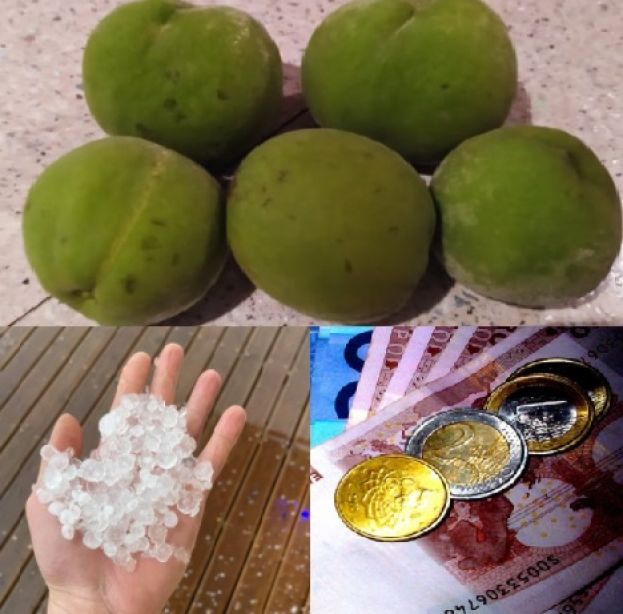 &Mu;&epsilon;&gamma;ά&lambda;&epsilon;&sigmaf; &delta;&iota;&alpha;&kappa;&upsilon;&mu;ά&nu;&sigma;&epsilon;&iota;&sigmaf; &tau;&iota;&mu;ώ&nu; &rho;&omicron;&delta;ά&kappa;&iota;&nu;&omega;&nu; &kappa;&alpha;&iota; &nu;&epsilon;&kappa;&tau;&alpha;&rho;&iota;&nu;&iota;ώ&nu; &mu;&epsilon;&tau;&alpha;&xi;ύ &epsilon;&mu;&pi;ό&rho;&omega;&nu; &kappa;&alpha;&iota; &sigma;&upsilon;&nu;&epsilon;&tau;&alpha;&iota;&rho;&iota;&sigma;&mu;ώ&nu; - &Chi;&alpha;&lambda;&alpha;&zeta;&omicron;&pi;&tau;ώ&sigma;&epsilon;&iota;&sigmaf; έ&pi;&lambda;&eta;&xi;&alpha;&nu; &Eta;&mu;&alpha;&theta;ί&alpha;, &Pi;έ&lambda;&lambda;&alpha; &kappa;&alpha;&iota; &Kappa;&omicron;&zeta;ά&nu;&eta;