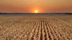 &Pi;ώ&sigmaf; &theta;&alpha; &gamma;ί&nu;&epsilon;&iota; &eta; &pi;&lambda;&eta;&rho;&omega;&mu;ή &alpha;&gamma;&rho;&omicron;&tau;&epsilon;&mu;&alpha;&chi;ί&omega;&nu; έ&omega;&sigmaf; 20 &sigma;&tau;&rho;έ&mu;&mu;&alpha;&tau;&alpha; &pi;&alpha;&rho;ά &tau;&alpha; &zeta;&eta;&tau;ή&mu;&alpha;&tau;&alpha; &Kappa;&Alpha;&Epsilon;&Kappa; &ndash; &Delta;&iota;&epsilon;&upsilon;&kappa;&rho;&iota;&nu;&iota;&sigma;&tau;&iota;&kappa;ή &epsilon;&gamma;&kappa;ύ&kappa;&lambda;&iota;&omicron;&sigmaf;