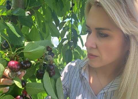 &Psi;&eta;&phi;&iota;&alpha;&kappa;ή &Gamma;&epsilon;&omega;&rho;&gamma;ί&alpha; &gamma;&iota;&alpha; &tau;&eta;&nu; &Nu;&Delta; &kappa;&alpha;&iota; &tau;&omicron; &mu;έ&lambda;&lambda;&omicron;&nu;