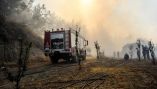 &Kappa;&tau;&eta;&nu;&omicron;&tau;&rho;&omicron;&phi;&iota;&kappa;ό&sigmaf; &Sigma;ύ&lambda;&lambda;&omicron;&gamma;&omicron;&sigmaf; &Pi;&epsilon;&rho;&iota;&phi;έ&rho;&epsilon;&iota;&alpha;&sigmaf; &Alpha;&tau;&tau;&iota;&kappa;ή&sigmaf;: &Mu;&epsilon;&tau;ά &tau;&iota;&sigmaf; &pi;&upsilon;&rho;&kappa;&alpha;&gamma;&iota;έ&sigmaf; &hellip; &omicron;&lambda;&omicron;&tau;&alpha;&chi;ώ&sigmaf; &tau;&omicron;&pi;&iota;&kappa;&omicron;&pi;&omicron;ί&eta;&sigma;&eta;
