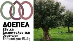 Ά&mu;&epsilon;&sigma;&eta; &alpha;&nu;&tau;ί&delta;&rho;&alpha;&sigma;&eta; &tau;&eta;&sigmaf; &Epsilon;&theta;&nu;&iota;&kappa;ή&sigmaf; &Delta;&Omicron;&Epsilon;&Pi;&Epsilon;&Lambda; &sigma;&chi;&epsilon;&tau;&iota;&kappa;ά &mu;&epsilon; &tau;&omicron; ά&rho;&theta;&rho;&omicron; &tau;&omicron;&upsilon; &Alpha;&Sigma; &ldquo;Έ&nu;&omega;&sigma;&eta; &Mu;&epsilon;&sigma;&sigma;&eta;&nu;ί&alpha;&sigmaf;&rdquo; &gamma;&iota;&alpha; &tau;&omicron; &Pi;&Omicron;&Pi; &ldquo;&Epsilon;&lambda;&iota;ά &Kappa;&alpha;&lambda;&alpha;&mu;ά&tau;&alpha;&sigmaf;&rdquo;