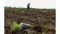 &Alpha;&pi;ό&phi;&alpha;&sigma;&eta; έ&nu;&tau;&alpha;&xi;&eta;&sigmaf; &pi;&rho;ά&xi;&epsilon;&omega;&nu; &sigma;&tau;&eta; &Delta;&rho;ά&sigma;&eta; 2 &tau;&omega;&nu; &Upsilon;&pi;&omicron;&mu;έ&tau;&rho;&omega;&nu; 16.1 &ndash; 16.2 &kappa;&alpha;&iota; 16.1 - 16.5