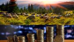 &Pi;ώ&sigmaf; &theta;&alpha; &kappa;&alpha;&tau;&alpha;&nu;&epsilon;&mu;&eta;&theta;&omicron;ύ&nu; &tau;&alpha; 89 &epsilon;&kappa;&alpha;&tau;. &epsilon;&upsilon;&rho;ώ &sigma;&tau;&omicron;&upsilon;&sigmaf; &kappa;&tau;&eta;&nu;&omicron;&tau;&rho;ό&phi;&omicron;&upsilon;&sigmaf;