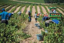 &Epsilon;&rho;&gamma;ά&tau;&epsilon;&sigmaf; &gamma;&eta;&sigmaf; &pi;&iota;ά&sigma;&tau;&eta;&kappa;&alpha;&nu; &sigma;&tau;&alpha; &chi;έ&rho;&iota;&alpha; &kappa;&alpha;&iota; &kappa;&alpha;&tau;έ&lambda;&eta;&xi;&alpha;&nu; &sigma;&tau;&omicron; &nu;&omicron;&sigma;&omicron;&kappa;&omicron;&mu;&epsilon;ί&omicron;