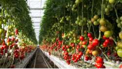 &Gamma;&epsilon;&omega;&rho;&gamma;&iota;&kappa;έ&sigmaf; &pi;&rho;&omicron;&epsilon;&iota;&delta;&omicron;&pi;&omicron;&iota;ή&sigma;&epsilon;&iota;&sigmaf; &gamma;&iota;&alpha; &tau;&eta; &tau;&omicron;&mu;ά&tau;&alpha; &theta;&epsilon;&rho;&mu;&omicron;&kappa;&eta;&pi;ί&omicron;&upsilon;