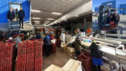 &Tau;&omicron; &chi;&omega;&rho;&iota;ό &mu;&epsilon; &tau;&omicron;&upsilon;&sigmaf; &pi;&iota;&omicron; &epsilon;&rho;&gamma;&alpha;&tau;&iota;&kappa;&omicron;ύ&sigmaf; &alpha;&gamma;&rho;ό&tau;&epsilon;&sigmaf; - &Sigma;&upsilon;&sigma;&kappa;&epsilon;&upsilon;&alpha;&sigma;ί&alpha; &kappa;&alpha;&iota; &delta;&iota;&alpha;&kappa;ί&nu;&eta;&sigma;&eta; &alpha;&kappa;&tau;&iota;&nu;&iota;&delta;ί&omicron;&upsilon; &sigma;&tau;&omicron;&nu; &Alpha;&Sigma; &Mu;έ&sigma;&eta;&sigmaf; | &Alpha;&gamma;&rho;&omicron;&tau;&iota;&kappa;ά &nu;έ&alpha; &kappa;&alpha;&iota; &epsilon;&iota;&delta;ή&sigma;&epsilon;&iota;&sigmaf; imathiotikigi.gr