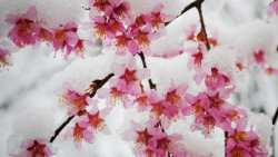 &Epsilon;&xi;ώ&delta;&iota;&kappa;&eta; &pi;&rho;ό&sigma;&kappa;&lambda;&eta;&sigma;&eta; &pi;&rho;&omicron;&sigmaf; &tau;&omicron; &upsilon;&pi;&omicron;&kappa;&alpha;&tau;ά&sigma;&tau;&eta;&mu;&alpha; &Epsilon;&Lambda;&Gamma;&Alpha; &Beta;έ&rho;&omicron;&iota;&alpha;&sigmaf; &alpha;&pi;έ&sigma;&tau;&epsilon;&iota;&lambda;&epsilon; &omicron; &alpha;&gamma;&rho;ό&tau;&eta;&sigmaf; &kappa;&alpha;&iota; &Pi;&rho;ό&epsilon;&delta;&rho;&omicron;&sigmaf; &Tau;&Omicron;&Epsilon;&Beta; &Beta;&rho;&upsilon;&sigma;&alpha;&kappa;ί&omicron;&upsilon; &Kappa;&omicron;&upsilon;&rho;&nu;&iota;ά&kappa;&omicron;&sigmaf; &Sigma;&tau;έ&lambda;&iota;&omicron;&sigmaf;