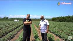"&Gamma;&iota;&alpha; &tau;&rho;ί&tau;&eta; &chi;&rho;&omicron;&nu;&iota;ά &alpha;&pi;ό&lambda;&upsilon;&tau;&alpha; &iota;&kappa;&alpha;&nu;&omicron;&pi;&omicron;&iota;&eta;&mu;έ&nu;&omicron;&sigmaf;" &lambda;έ&epsilon;&iota; &omicron; &pi;&alpha;&rho;&alpha;&gamma;&omega;&gamma;ό&sigmaf; &kappa;.&Beta;&alpha;&sigma;ί&lambda;&eta;&sigmaf; - &Mu;ά&theta;&epsilon; &gamma;&iota;&alpha;&tau;ί! (&Beta;ί&nu;&tau;&epsilon;&omicron;)