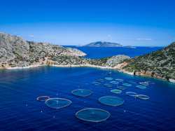 &Omicron;&iota; &upsilon;&delta;&alpha;&tau;&omicron;&kappa;&alpha;&lambda;&lambda;&iota;έ&rho;&gamma;&epsilon;&iota;&epsilon;&sigmaf; &sigma;&tau;&eta;&nu; &Iota;&sigma;&pi;&alpha;&nu;ί&alpha;, &tau;&eta; &Gamma;&alpha;&lambda;&lambda;ί&alpha;, &tau;&eta;&nu; &Iota;&tau;&alpha;&lambda;ί&alpha; &kappa;&alpha;&iota; &tau;&eta;&nu; &Epsilon;&lambda;&lambda;ά&delta;&alpha; &epsilon;ί&nu;&alpha;&iota; &tau;&alpha; &delta;ύ&omicron; &tau;&rho;ί&tau;&alpha; &sigma;&tau;&eta;&nu; &Epsilon;&Epsilon;