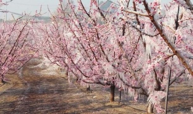 &Tau;&zeta;ά&kappa;&rho;&eta;: &Pi;&rho;&omicron;&kappa;&alpha;&tau;&alpha;&beta;&omicron;&lambda;έ&sigmaf; έ&nu;&alpha;&nu;&tau;&iota; &tau;&omega;&nu; &alpha;&pi;&omicron;&zeta;&eta;&mu;&iota;ώ&sigma;&epsilon;&omega;&nu; &alpha;&pi;ό &tau;&omicron;&upsilon;&sigmaf; &alpha;&nu;&omicron;&iota;&xi;&iota;ά&tau;&iota;&kappa;&omicron;&upsilon;&sigmaf; &pi;&alpha;&gamma;&epsilon;&tau;&omicron;ύ&sigmaf;: &eta; &kappa;&upsilon;&beta;έ&rho;&nu;&eta;&sigma;&eta; &pi;έ&rho;&alpha;&sigma;&epsilon; &kappa;ά&tau;&omega; &alpha;&pi;ό &tau;&omicron;&nu; &pi;ή&chi;&eta; &pi;&omicron;&upsilon; &eta; ί&delta;&iota;&alpha; έ&theta;&epsilon;&sigma;&epsilon;