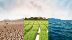 &Alpha;&gamma;&rho;&omicron;&tau;&iota;&kappa;ά &nu;έ&alpha;: &Delta;&epsilon;&kappa;ά&delta;&epsilon;&sigmaf; &epsilon;&pi;&iota;&sigma;&tau;ή&mu;&omicron;&nu;&epsilon;&sigmaf; &kappa;&alpha;&tau;&alpha;&gamma;&gamma;έ&lambda;&lambda;&omicron;&upsilon;&nu; &pi;&rho;ό&sigma;&phi;&alpha;&tau;&eta; έ&kappa;&theta;&epsilon;&sigma;&eta; &tau;&eta;&sigmaf; &kappa;&upsilon;&beta;έ&rho;&nu;&eta;&sigma;&eta;&sigmaf; &tau;&omega;&nu; &Eta;&Pi;&Alpha; &gamma;&iota;&alpha; &tau;&omicron; &kappa;&lambda;ί&mu;&alpha;